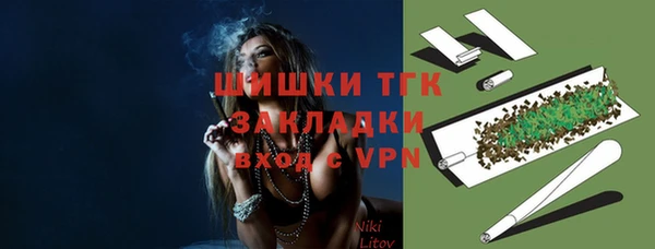 стафф Няндома