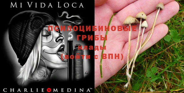 кристаллы Грязи