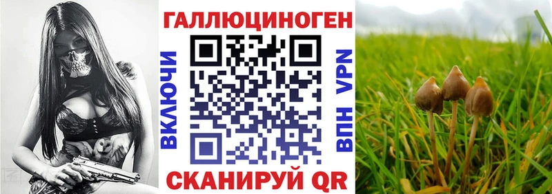 гидра вход  Новохопёрск  Псилоцибиновые грибы мицелий 